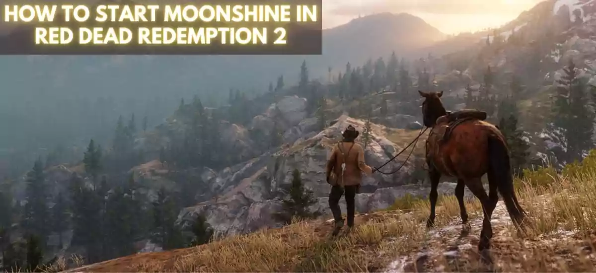 How To Start Moonshine In red Dead Redemption 2